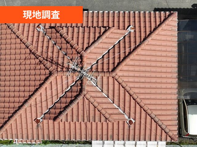現地調査　